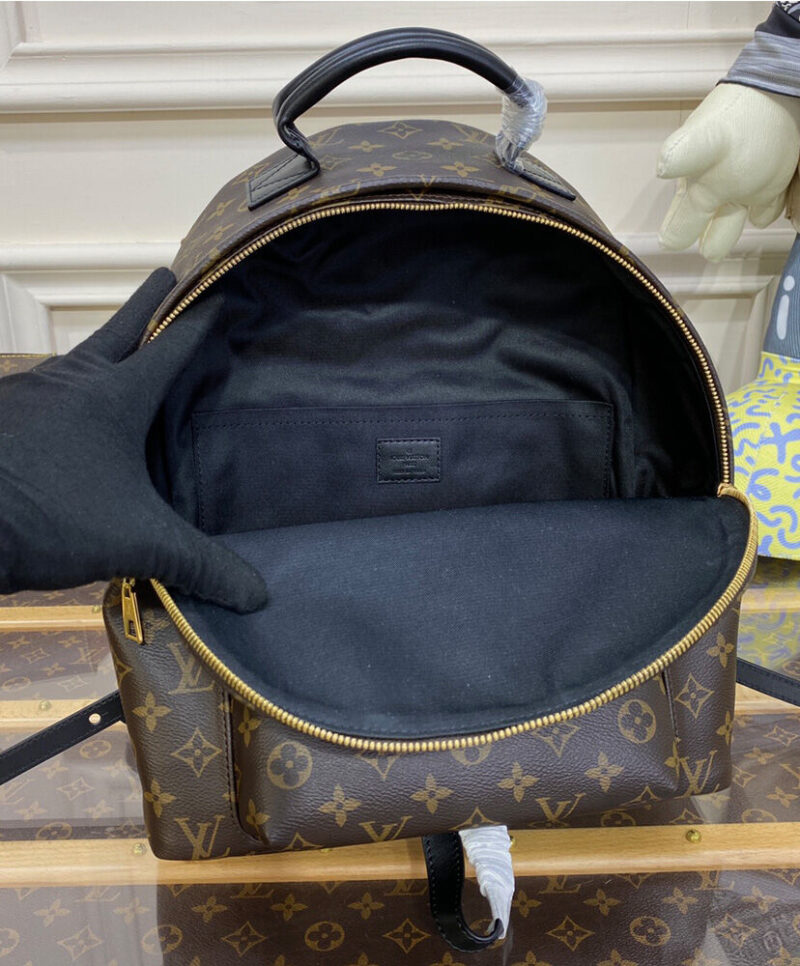 Louis Vuitton Palm Springs MM M44874 Brown